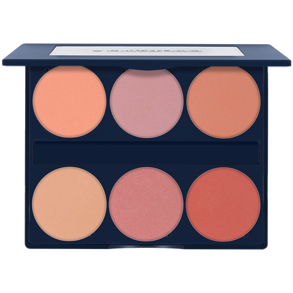 Silk Finish Blush Palette 6 Farben